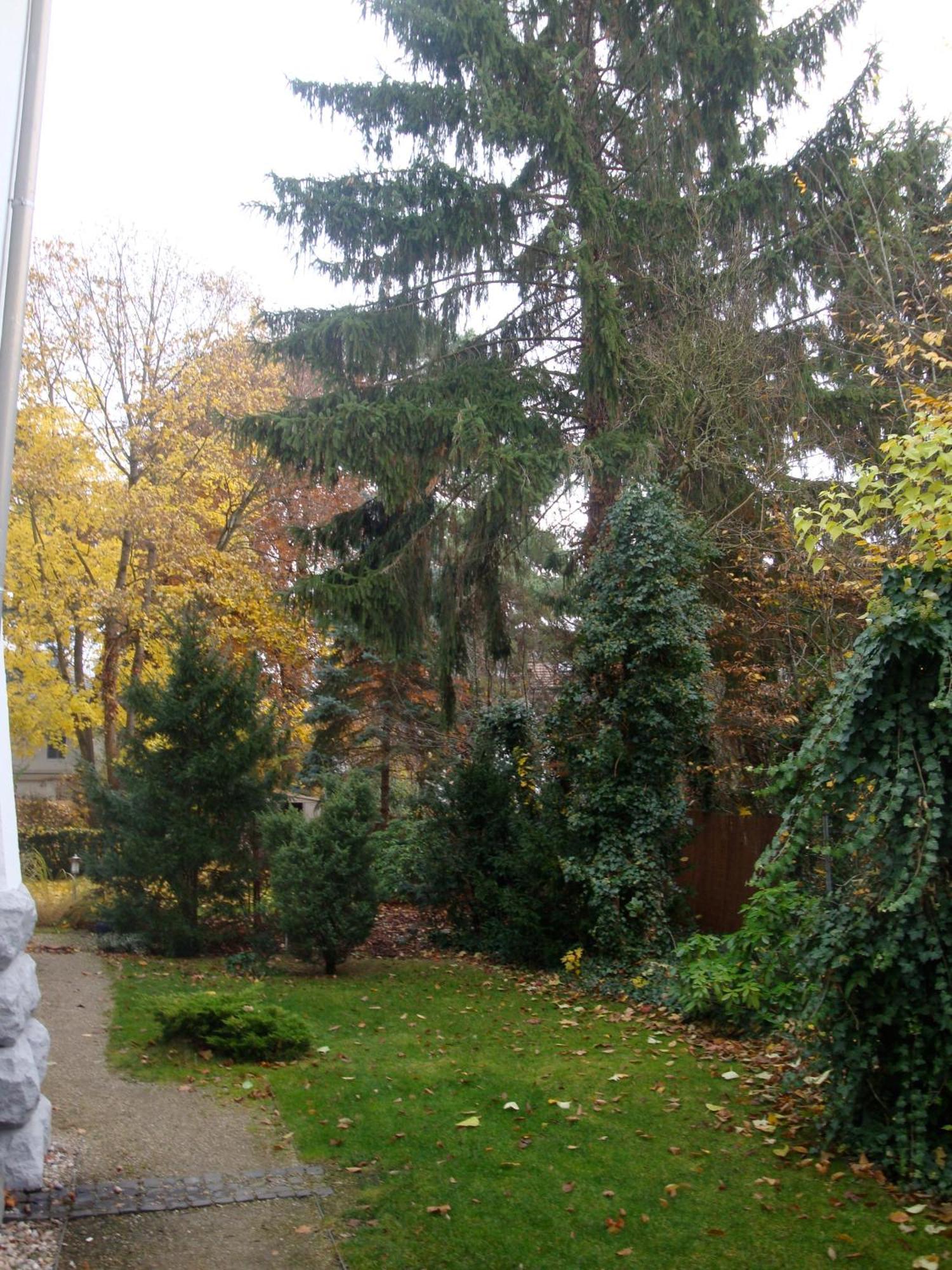 Hotel Landhaus Schlachtensee Βερολίνο Εξωτερικό φωτογραφία