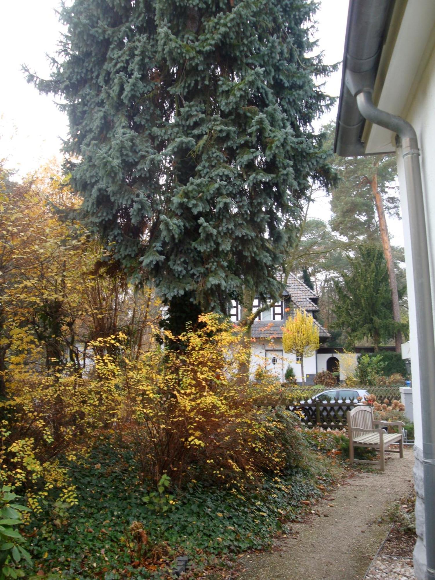 Hotel Landhaus Schlachtensee Βερολίνο Εξωτερικό φωτογραφία